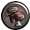 Ganoderma